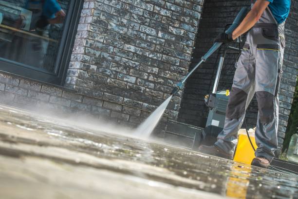 Best Fleet Vehicle Washing  in Riverview, MI