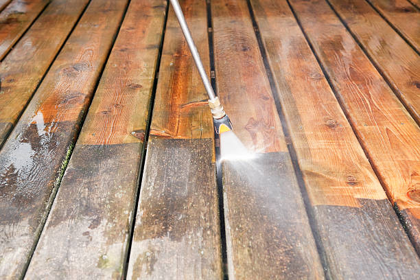 Best Driveway Pressure Washing  in Riverview, MI