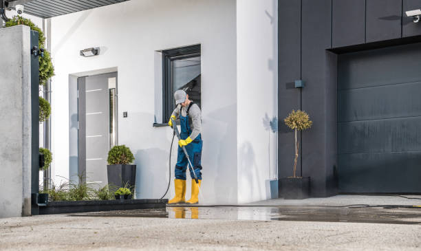 Best Boat and Dock Cleaning  in Riverview, MI
